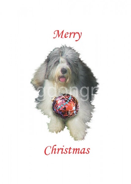 170-furry-dog-w-xmas-ball-2